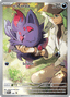 N's Zorua